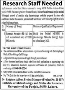 University of the Punjab (PU) Lahore New Jobs 2024 Apply Online