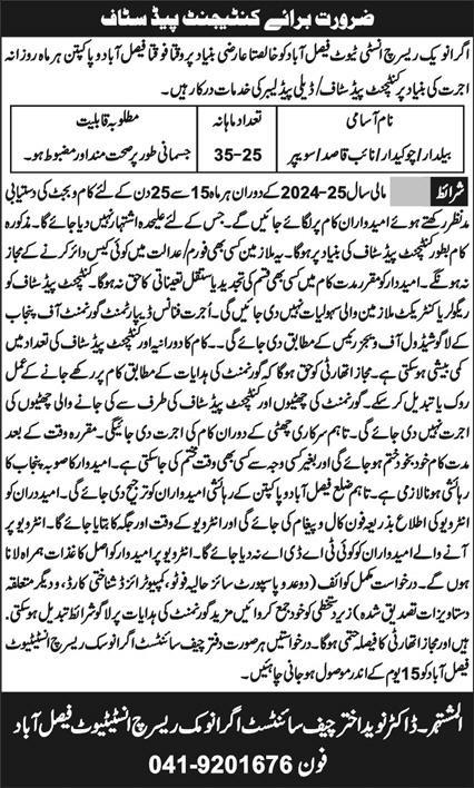 Agronomic Research Institute in Faisalabad New Jobs Vacancies 2024 Apply Online